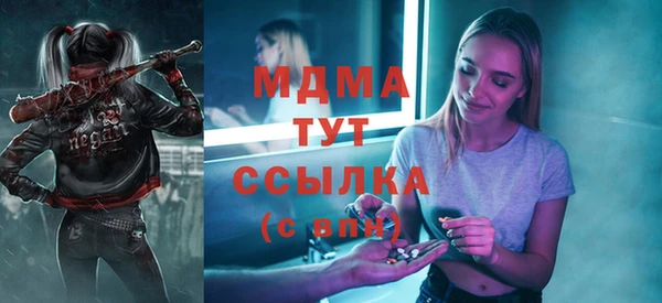 гидра Богданович