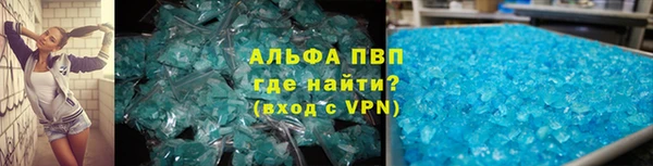 шишки Богородицк