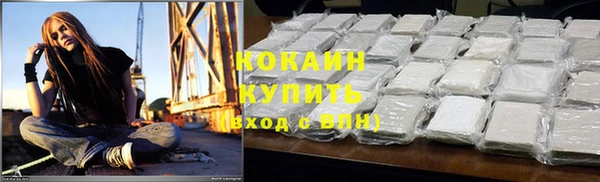 спиды Богородск