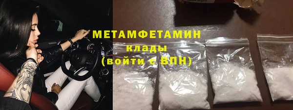 гидра Богданович