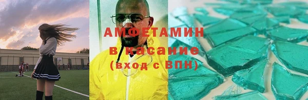 шишки Богородицк