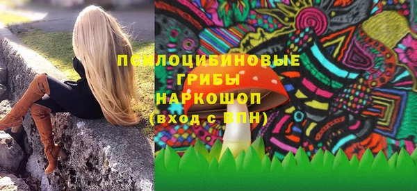 спиды Богородск