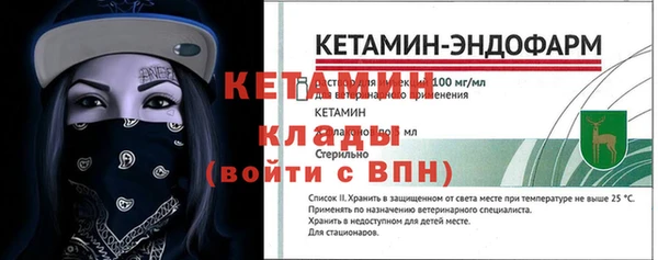 шишки Богородицк