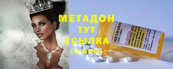 гидра Богданович