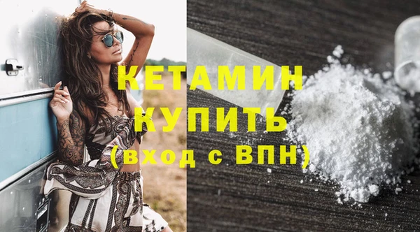 шишки Богородицк