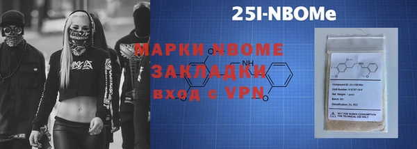 шишки Богородицк