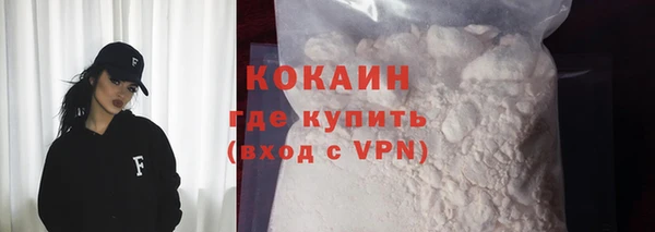 гидра Богданович