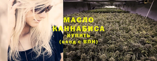 гидра Богданович