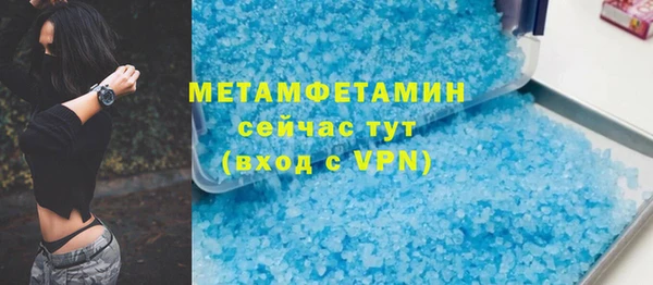 гидра Богданович