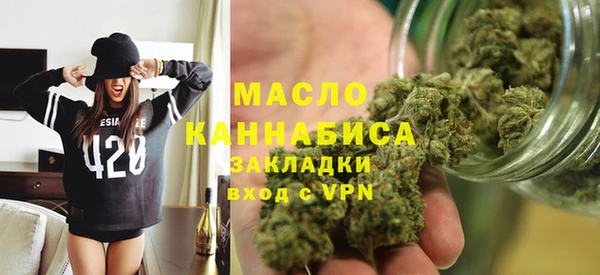 гидра Богданович