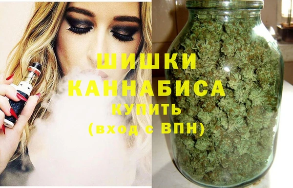 шишки Богородицк
