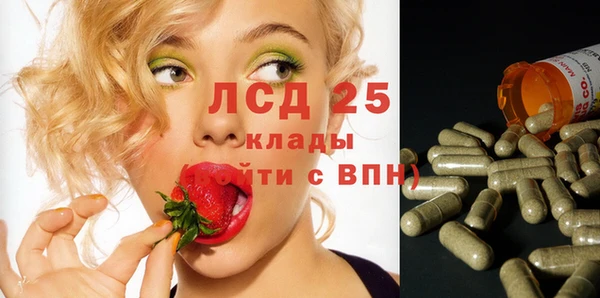 гидра Богданович