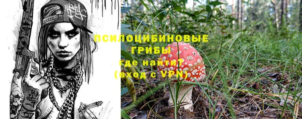 спиды Богородск