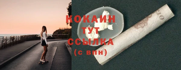гидра Богданович